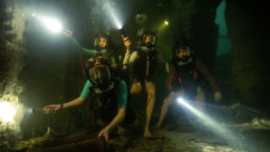 Imagen de A 47 metros 2: El terror emerge - 8