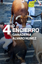 Imagen de Vive San Fermín (T2026): Ep.5 - 6