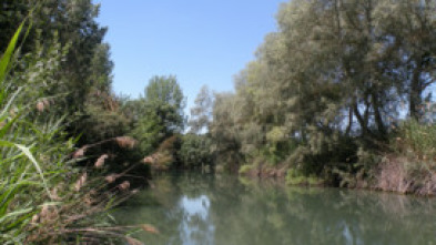 Imagen de Ni, Zidakos - 5