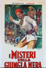 Imagen de El misterio de la jungla negra - 3