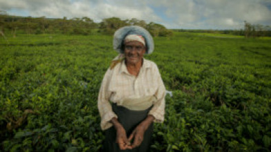 Imagen de Ile Maurice, la douceur de l'océan Indien - 5