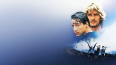 Imagen de Le llaman Bodhi - 7