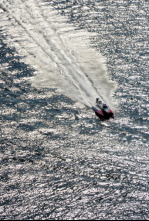 Imagen de UIM F1H2O World... (2026): GP de Italia Cerdeña - 4