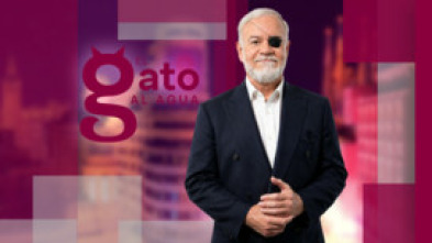 Imagen de El gato al agua - 5