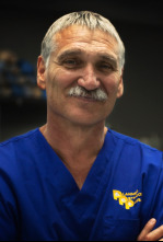 Imagen de Veterinario en apuros: Nunca te rindas - 6