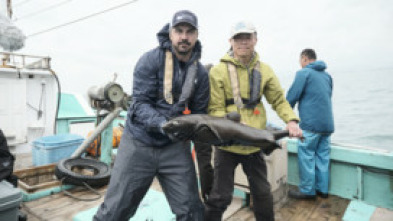 Imagen de Jurassic Sharks - 5