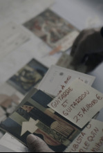 Imagen de Guardianes del Patrimonio: Operación Sagún - 12