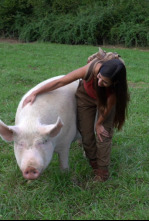 Imagen de ¡Qué animal! (T5): Sexo - 13