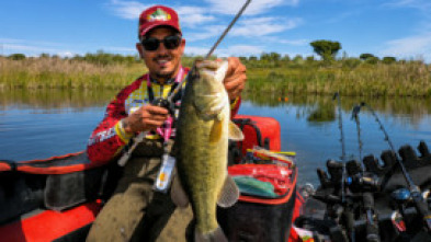Imagen de Original bass ep.3 