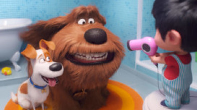 Imagen de Mascotas 2 - 7