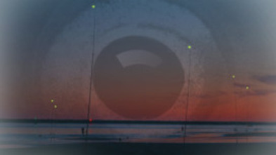 Imagen de Depredadores con pescasur - 5