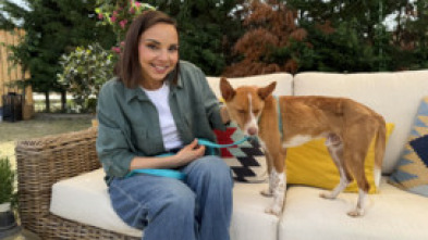 Imagen de Dog House (T2): Ep.4 - 5
