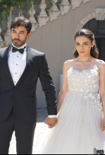 Imagen de Corazón herido - 4
