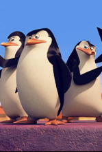 Imagen de Los pingüinos de... (T1): El Pequeño Coupé Del Zoo; Un Mal Trago - 6