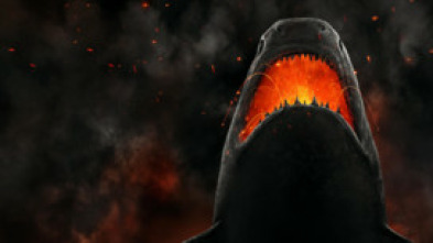 Imagen de El ataque del tiburón diablo - 7
