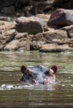Imagen de Boteti: el río de...: Muerte en el polvo - 5