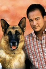 Imagen de Superagente K-911 - 4