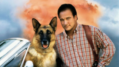 Imagen de Superagente K-911 - 5