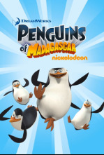 Imagen de Los pingüinos de... (T1): Miss Pingüino; Encima De Phill - 6