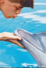 Imagen de Mi amigo Flipper - 4