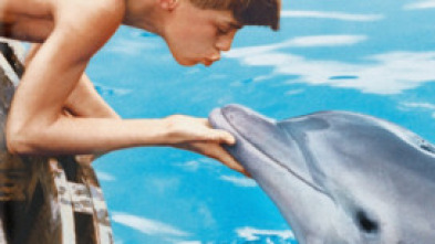Imagen de Mi amigo Flipper - 5