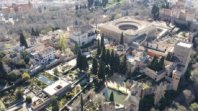Imagen de La Alhambra: fortaleza de Andalucía - 5