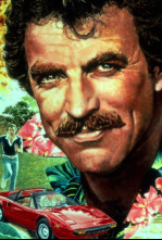 Imagen de Magnum (T3): Ep.1  - 4