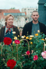 Imagen de Entre rosas - 4