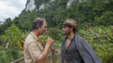 Imagen de Gold - 5