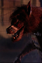 Imagen de El despertar de la bestia - 4