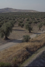 Imagen de Senderos del mundo - 5