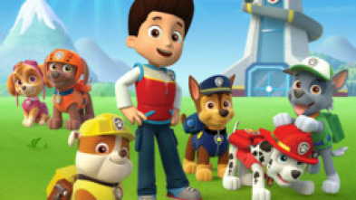Imagen de La patrulla canina Single Story (T2) - 5