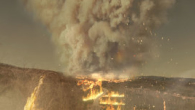 Imagen de Witness to Disaster  - 5