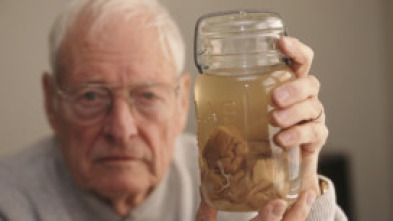 Imagen de El hombre que robó el cerebro de Einstein - 7