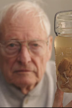 Imagen de El hombre que robó el cerebro de Einstein - 13
