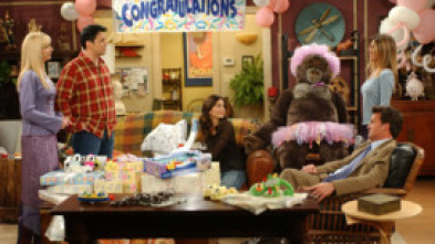 Imagen de Friends (T9): Ep.24 El de Barbados (II) - 5