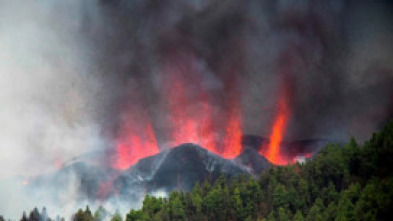 Imagen de Después del Volcán: las voces y los ecos - 5