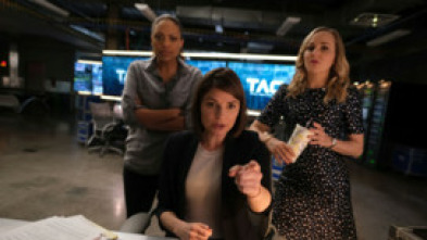 Imagen de Bull (T3) - 6