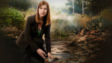 Imagen de Los Misterios de Hailey Dean (T1) - 5
