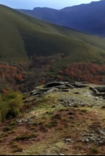 Imagen de Os Castros: A cultura - 4