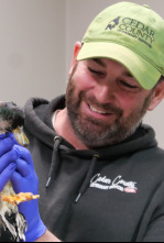 Imagen de Veterinarios de Nebraska (T2) - 5