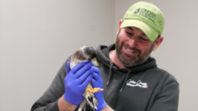 Imagen de Veterinarios de... (T2): La familia lo es todo - 6
