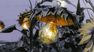 Imagen de Muévete! - 5