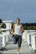 Imagen de Haven - 4