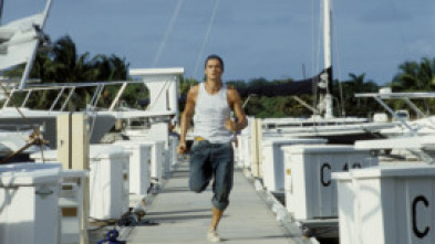 Imagen de Haven - 5