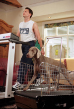 Imagen de Very Important perros - 8