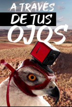 Imagen de A través de tus ojos - 4
