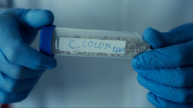 Imagen de Colón ADN. Su verdadero origen - 5