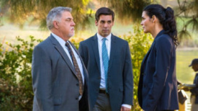 Imagen de Rizzoli & Isles (T5): Ep.1 Un nuevo día - 5