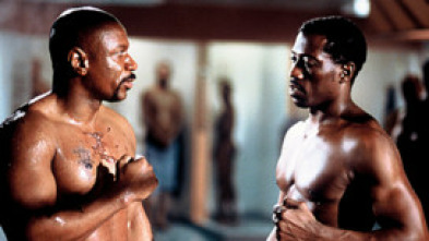 Imagen de Invicto - 5